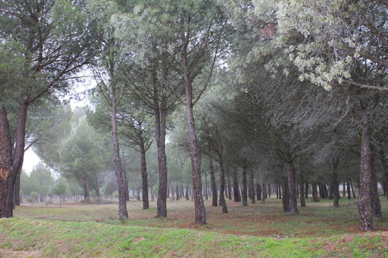 Las Gavias Matapozuelos Luaran gambar