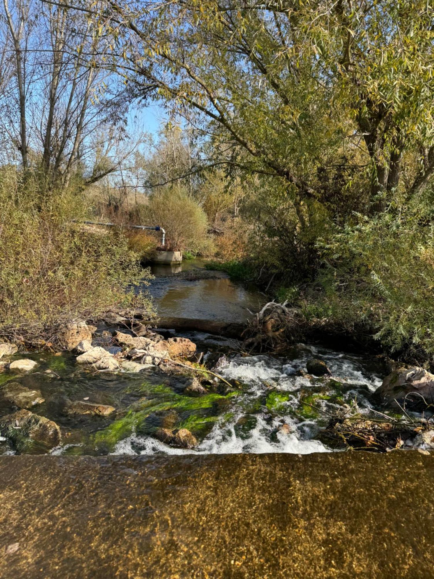Las Gavias Matapozuelos Luaran gambar