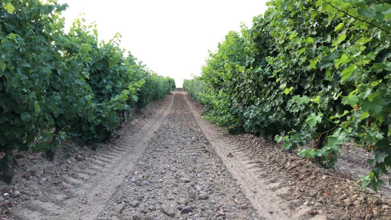 Las Gavias Matapozuelos Luaran gambar